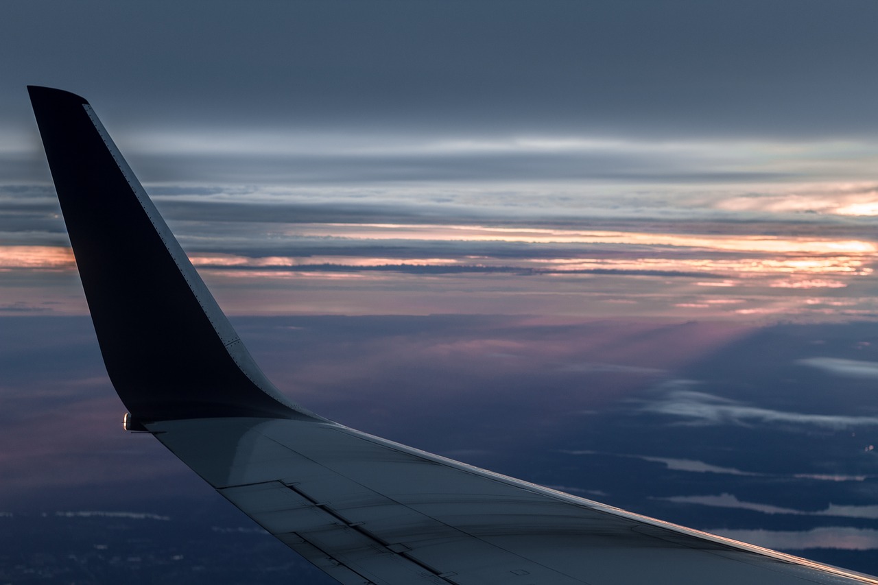 Airplane wing - taken in flight